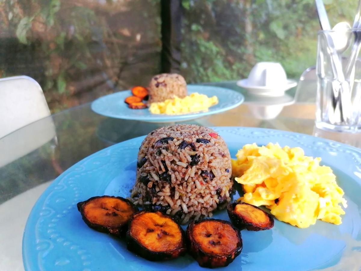 La Fortuna Rustico Arenal B&B المظهر الخارجي الصورة