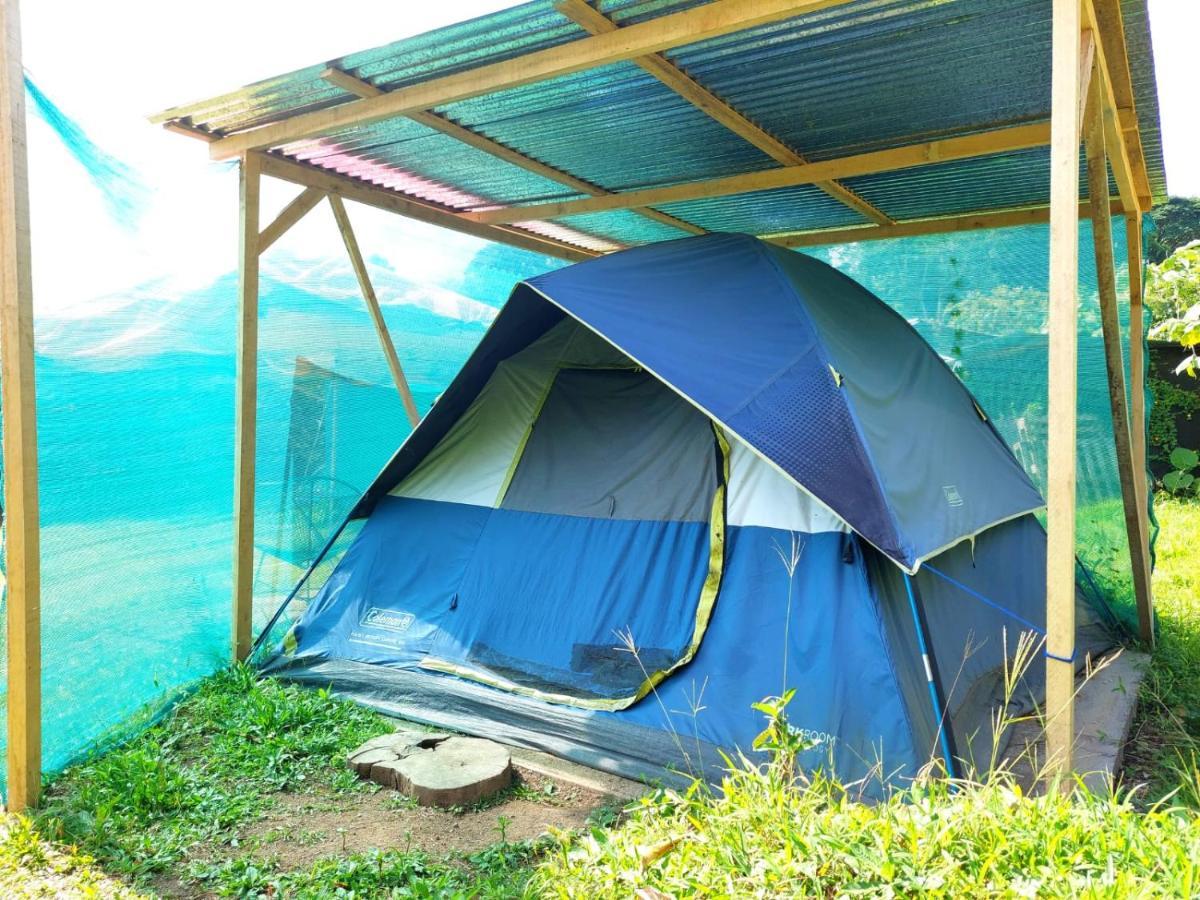 La Fortuna Rustico Arenal B&B المظهر الخارجي الصورة