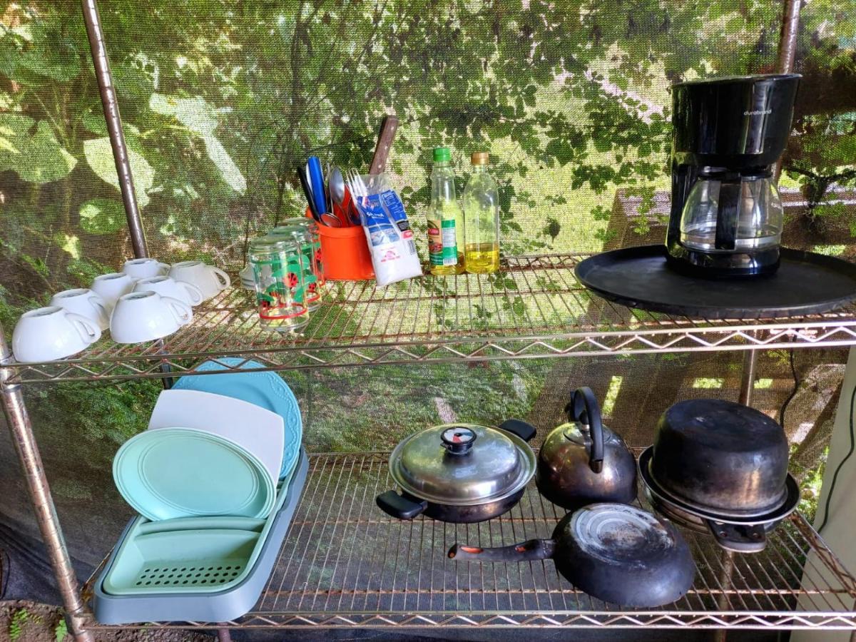 La Fortuna Rustico Arenal B&B المظهر الخارجي الصورة