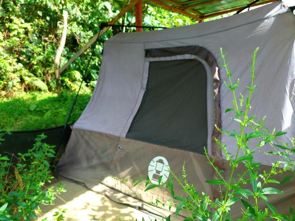 La Fortuna Rustico Arenal B&B المظهر الخارجي الصورة