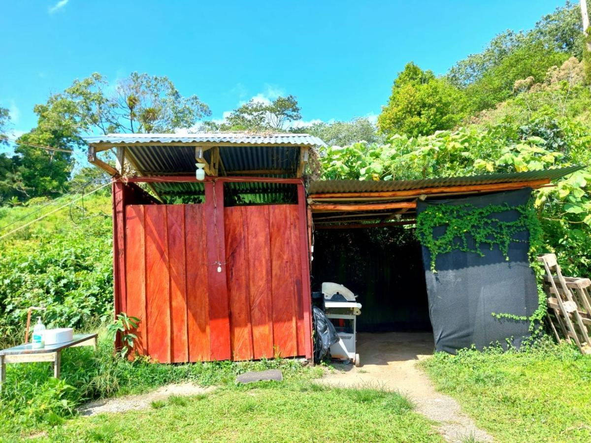 La Fortuna Rustico Arenal B&B المظهر الخارجي الصورة